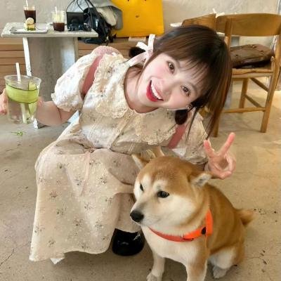 战队大失格